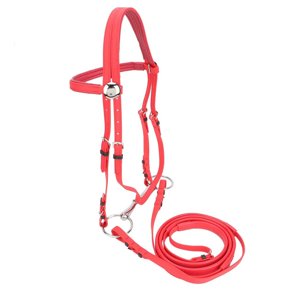 Qcwwy Briglia per Cavallo in PVC, Testiera per Imbracatura per Cavallo Regolabile Antiruggine con Filetto Cavo Rimovibile in Acciaio Inossidabile Attrezzatura Equestre Adatta per