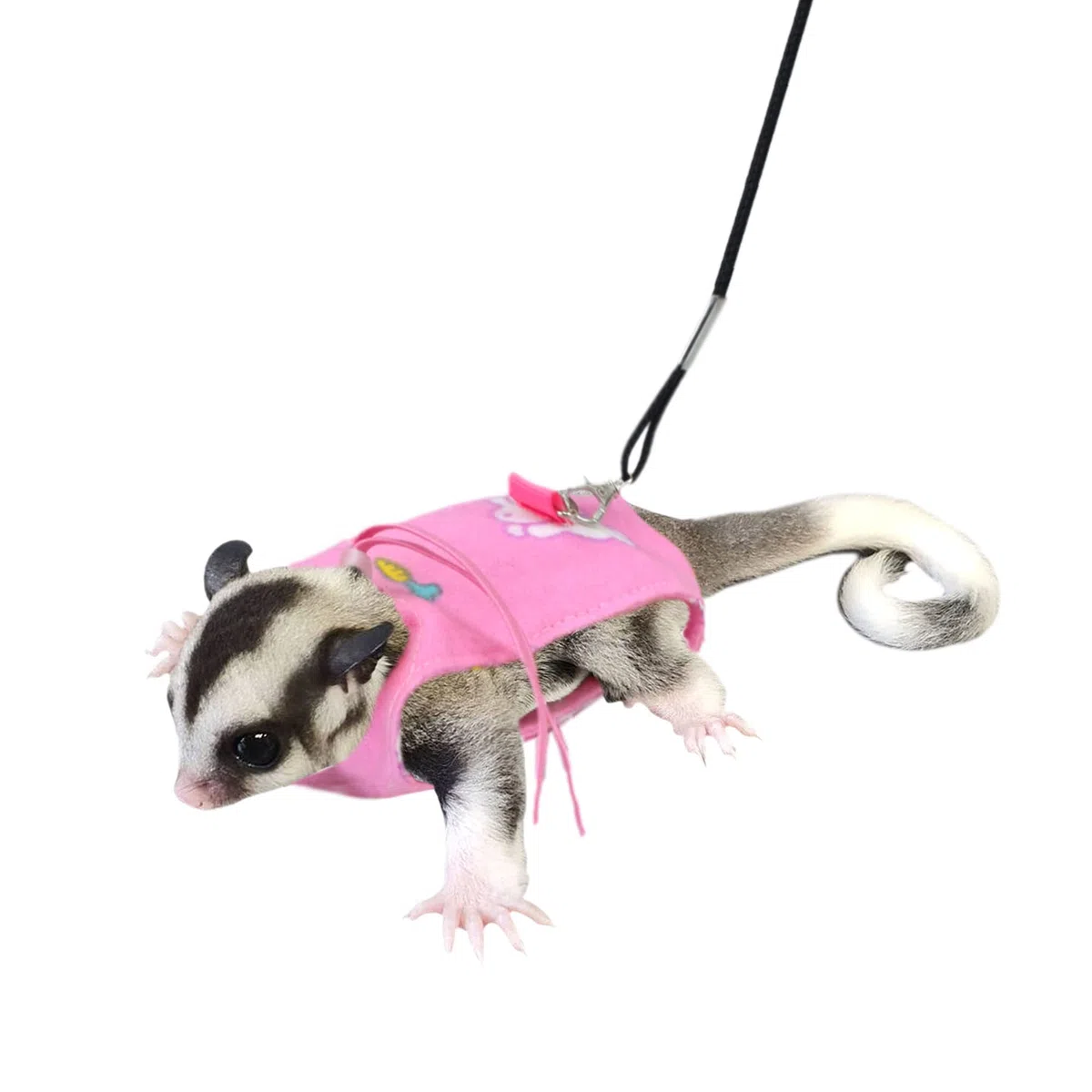 Sugar Glider - Set di pettorina e guinzaglio regolabili e confortevoli, per addestramento di piccoli animali