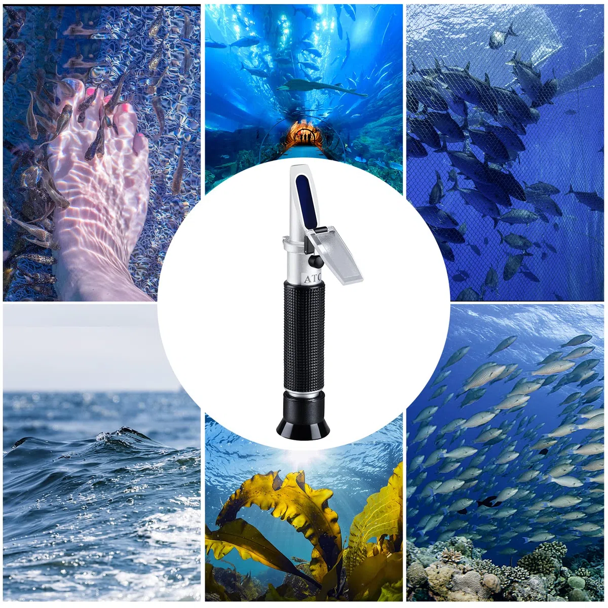 Rifrattometro per la salinità dell'acqua, areometro a due scale: peso specifico 1,000-1,070 e ppt 0-100 (1‰ = 1 ppt = 1000 ppm), tester acqua di mare mano per acquario, serbatoio piscina