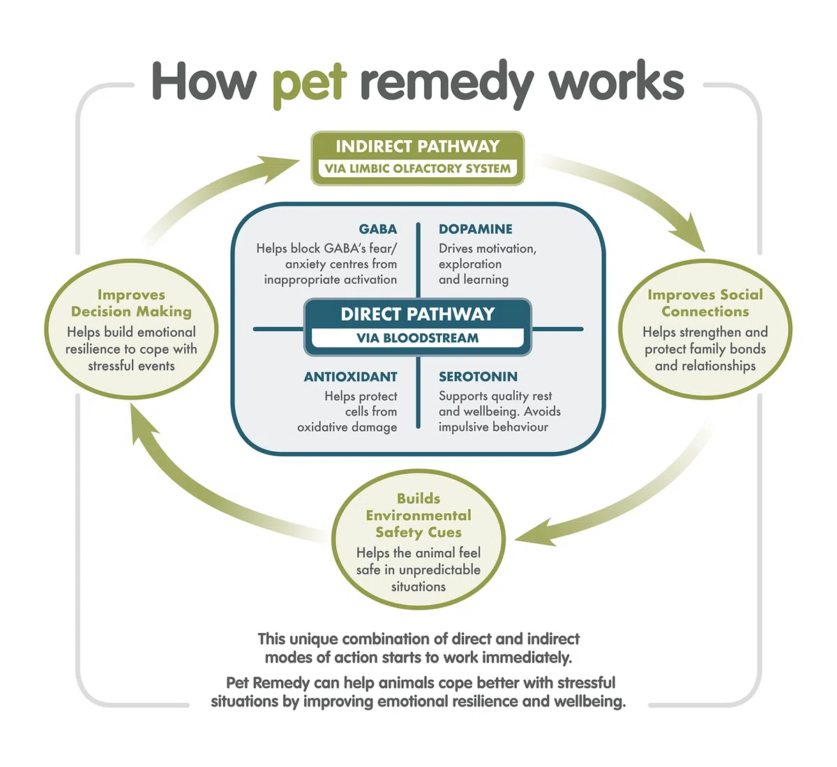 Pet Remedy Ricarica calmante naturale per spray e atomizzatore a batteria, 300 ml