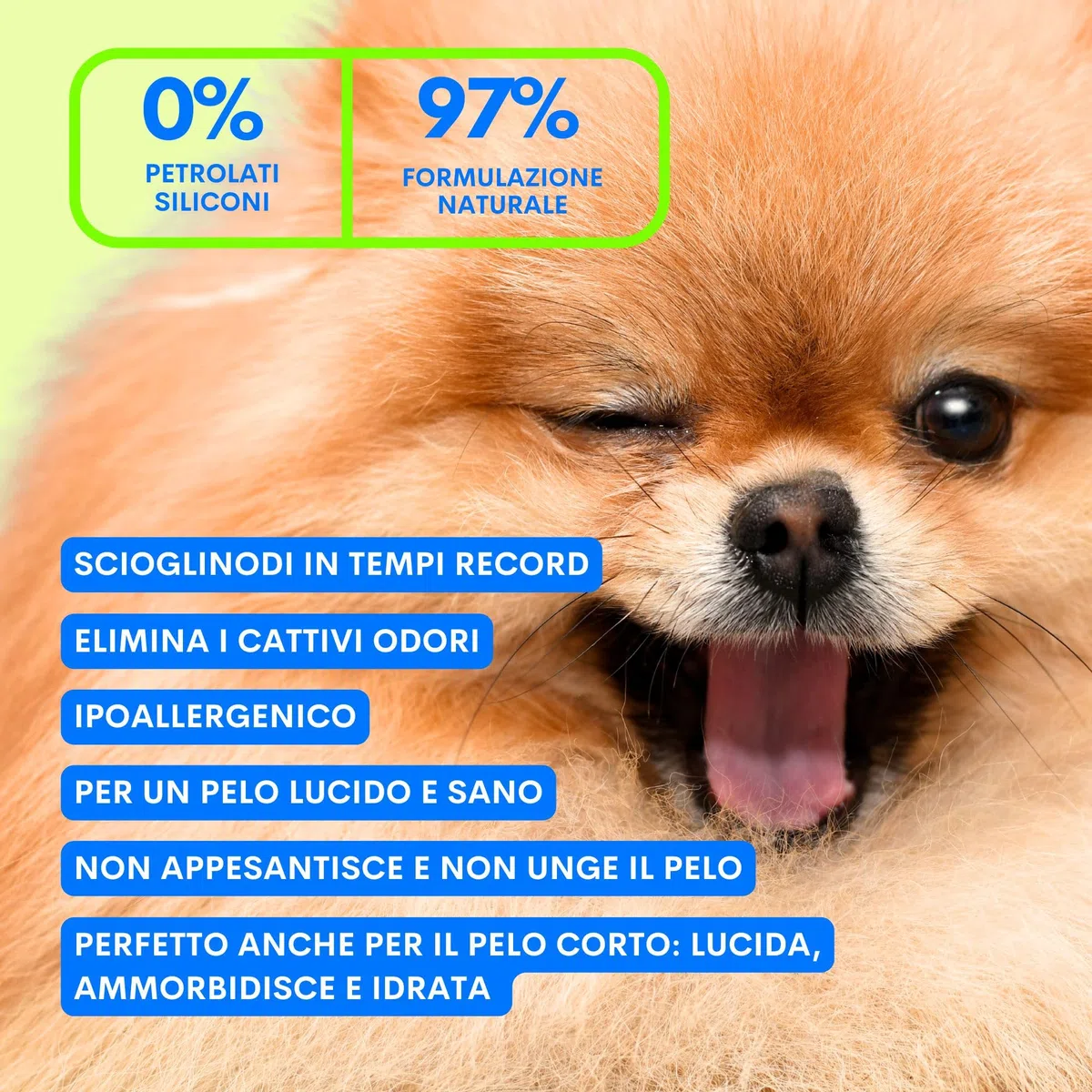 JAMPY Spray Districante Nutriente Per Cani. Scioglie i Nodi - Idrata - Rimpolpa - Lucida il Pelo. Formula Ipoallergenica con Cheratina, Lisina e Acidi della Frutta. 97% Naturale. Senza plastica.