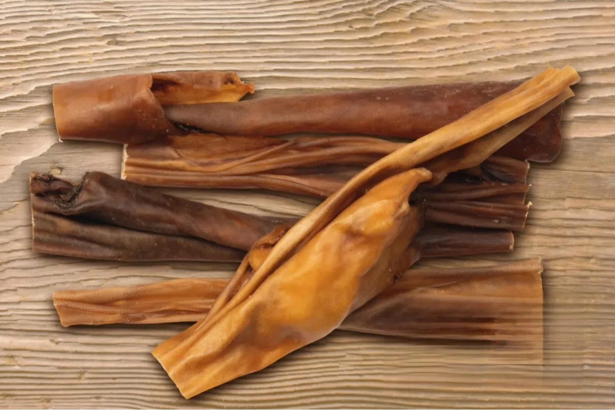 Pelle di Cavallo Essiccata per Cani, Strisce da 15 cm, Confezione da 500 Grammi, Masticativo Naturale per Pulizia Denti