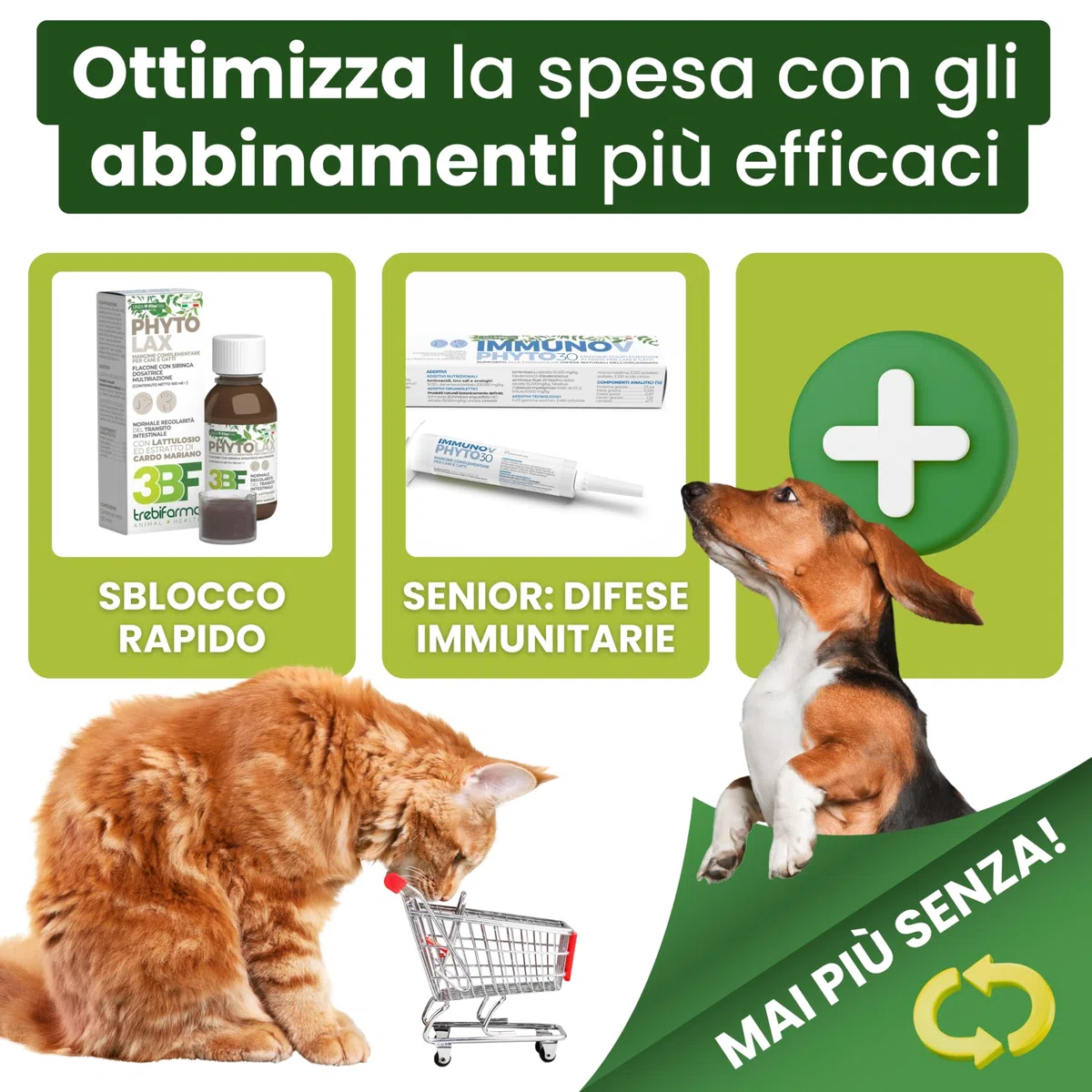 Trebifarma Fibrasol GG, Regolarità Intestinale di Cane e Gatto - Mangime Complementare in Polvere con Prebiotici Contro Diarrea, Colite e Stipsi - Facile da Somministrare – 100g