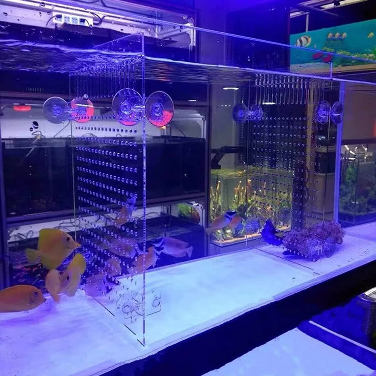 Cuyacili Divisori per Acquario Divisorio per Acquario in Acrilico con 8 Ventose Accessori Separatore di Pesce Piatto Trasparente 30 * 40 cm
