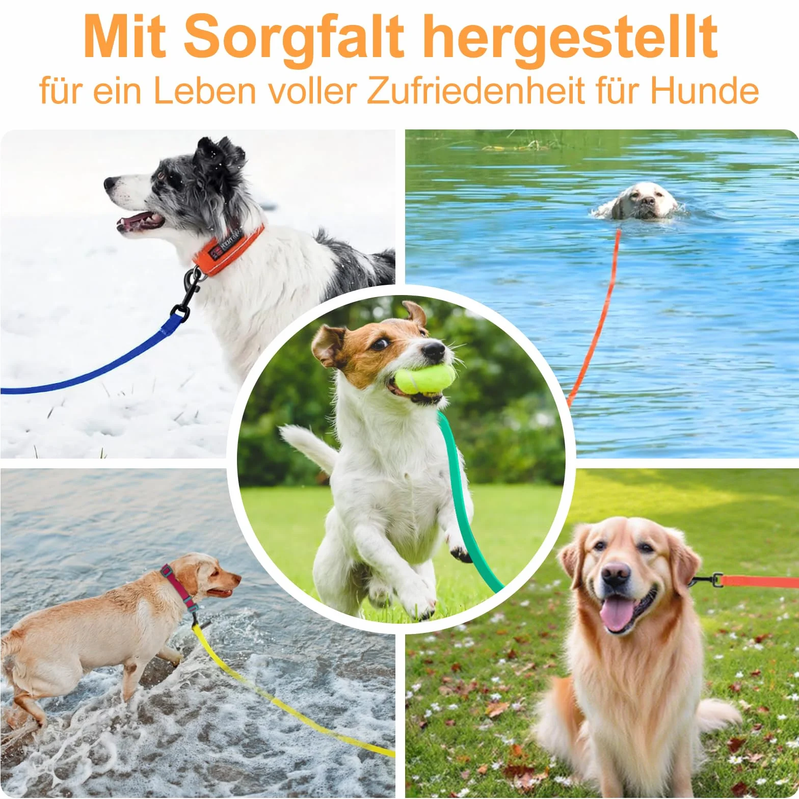 Guinzaglio impermeabile per cani, 3 m/5 m/10 m/15 m, guinzaglio antistrappo, guinzaglio per cani di taglia grande e piccola (arancione, 10 m)