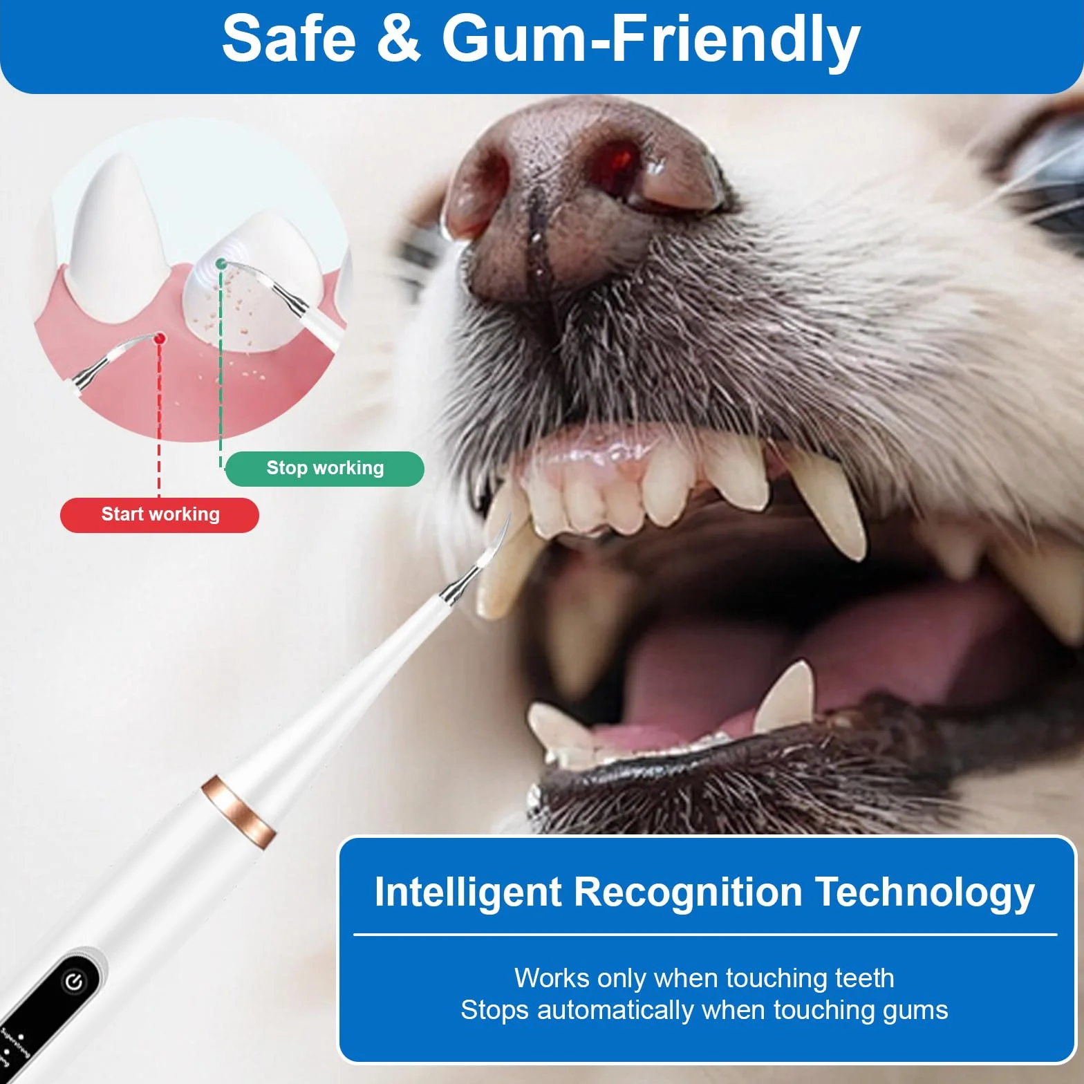 Pulitore Dentale a Ultrasuoni per Cani e Gatti Bianco – 5 Modalità con LED, Rilevamento Gengive, IPX7, Ricaricabile USB-C, Kit Completo