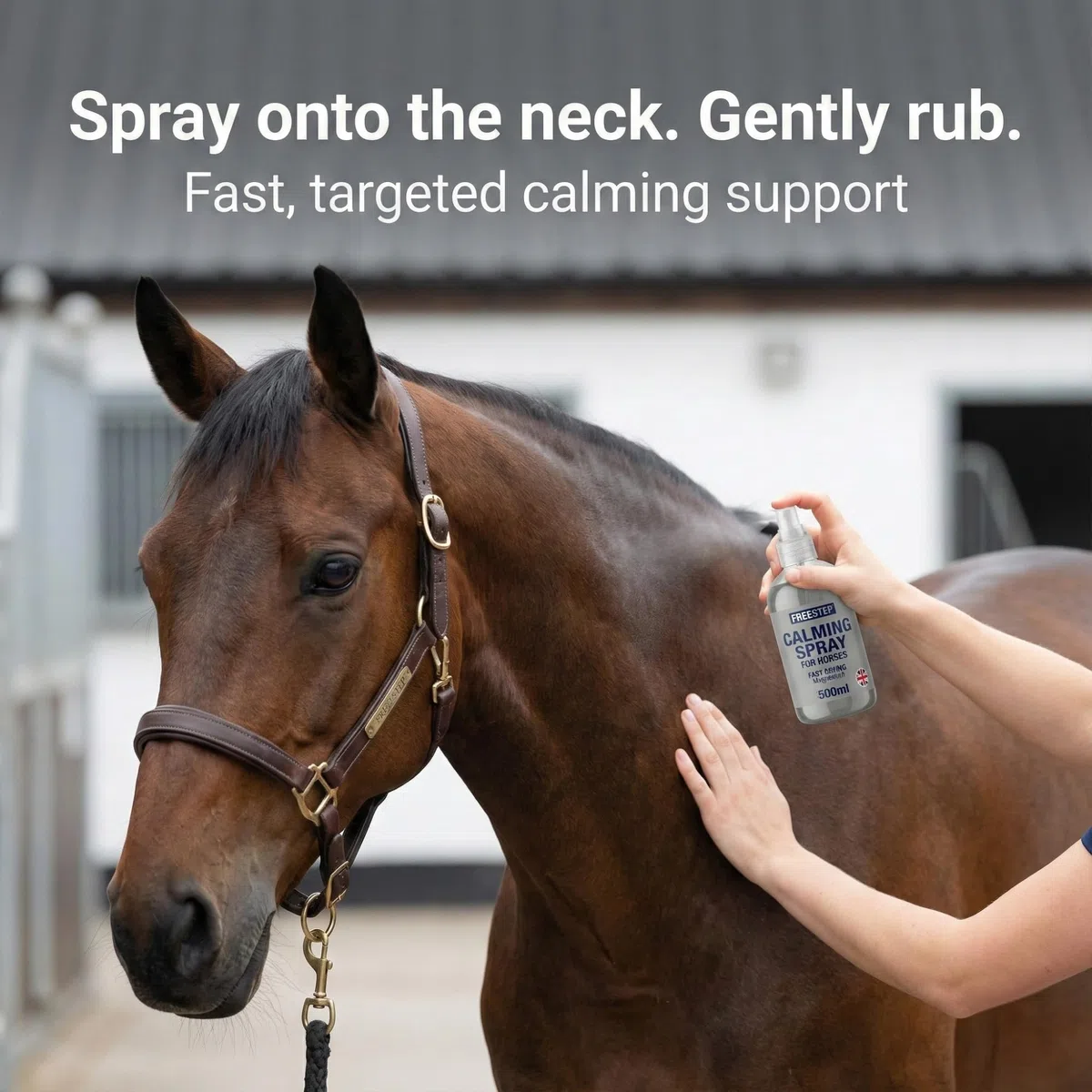 Spray calmante per cavalli, ad azione rapida, con magnesio, per ansia, stress e spooking, concentrazione naturale e rilassamento, senza sonnolenza e sicurezza per la competizione, calmante