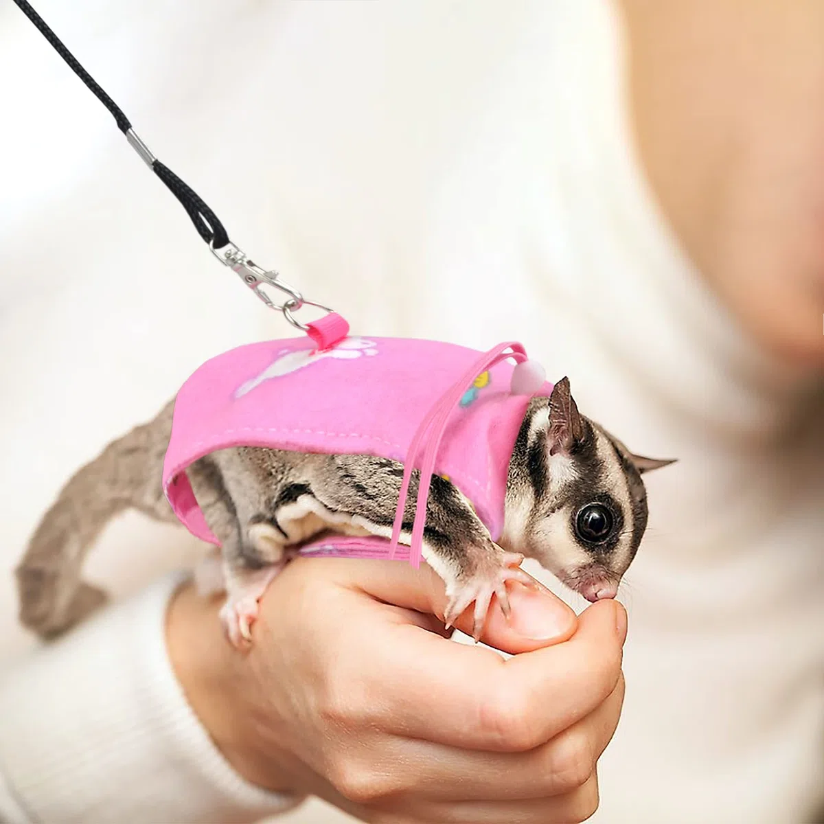 Sugar Glider - Set di pettorina e guinzaglio regolabili e confortevoli, per addestramento di piccoli animali