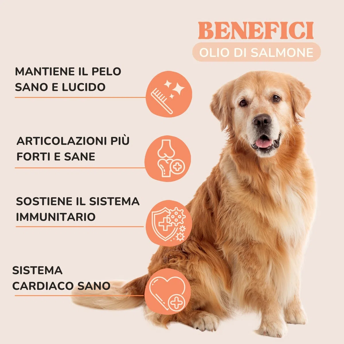 Olio di Salmone per Cani e Gatti per Articolazioni Forti e Pelle Sana, Olio Salmone per Cani Arricchito con EPA, DHA, Omega 6 e Omega 3 Cane, Appetizzante per Cani Naturale e Norvegese