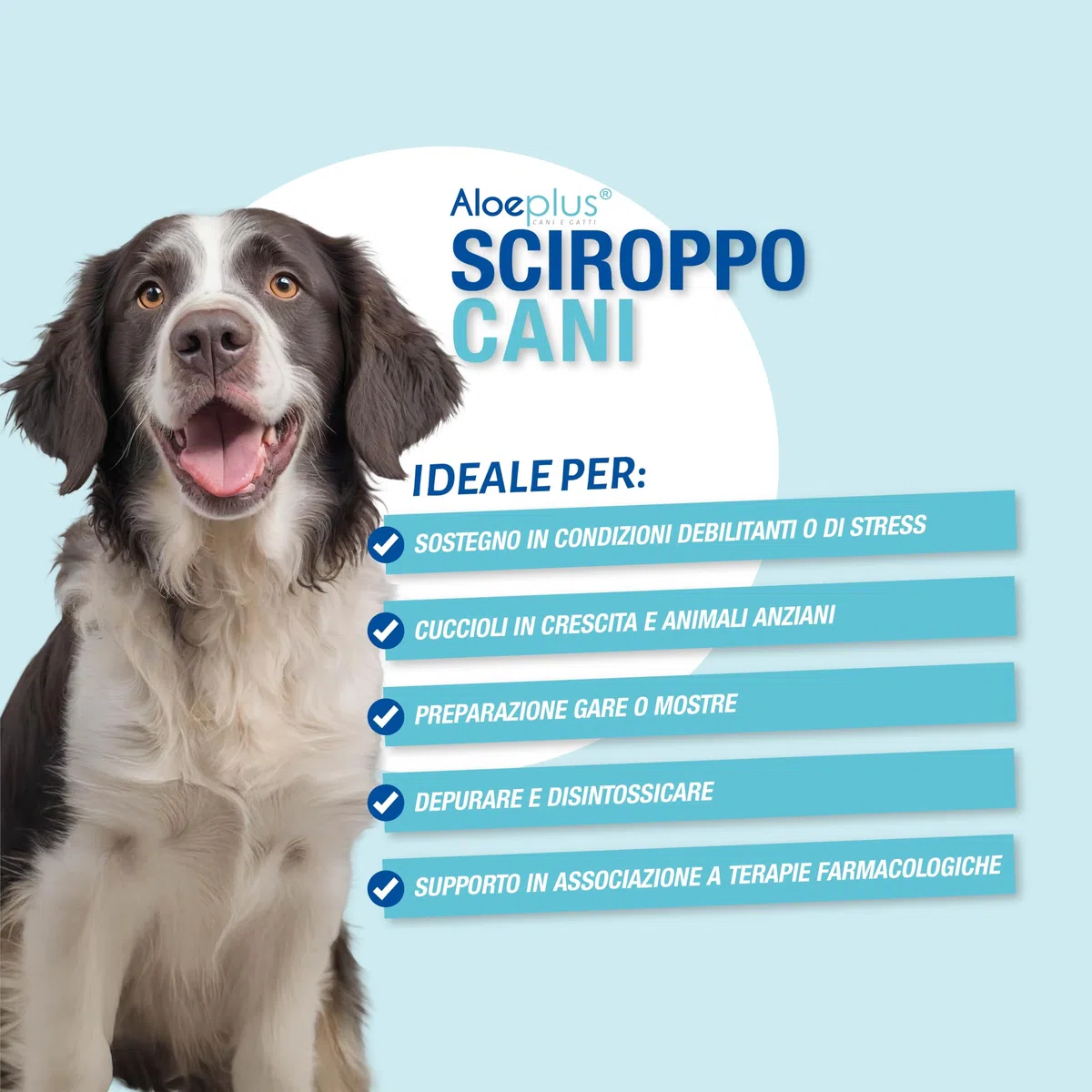 ALOEPLUS Cani Sciroppo 150ml - Alimento Complementare Energetico, Disintossicante a base di Aloe Arborescens BIO, Rafforza le Naturali Difese, Ideale come ricostituente Cani Anziani e Cuccioli