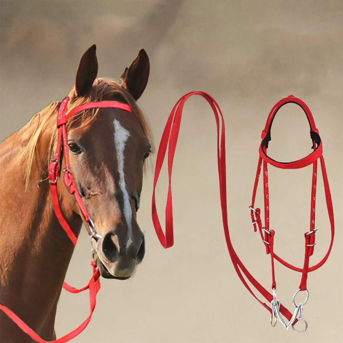La testa di cavallo, briglia di cavallo da tiro | Banda per cavalcate a cavallo foderato morbido - di banda al naso equina regolabile per cavalcate, redini equestri.