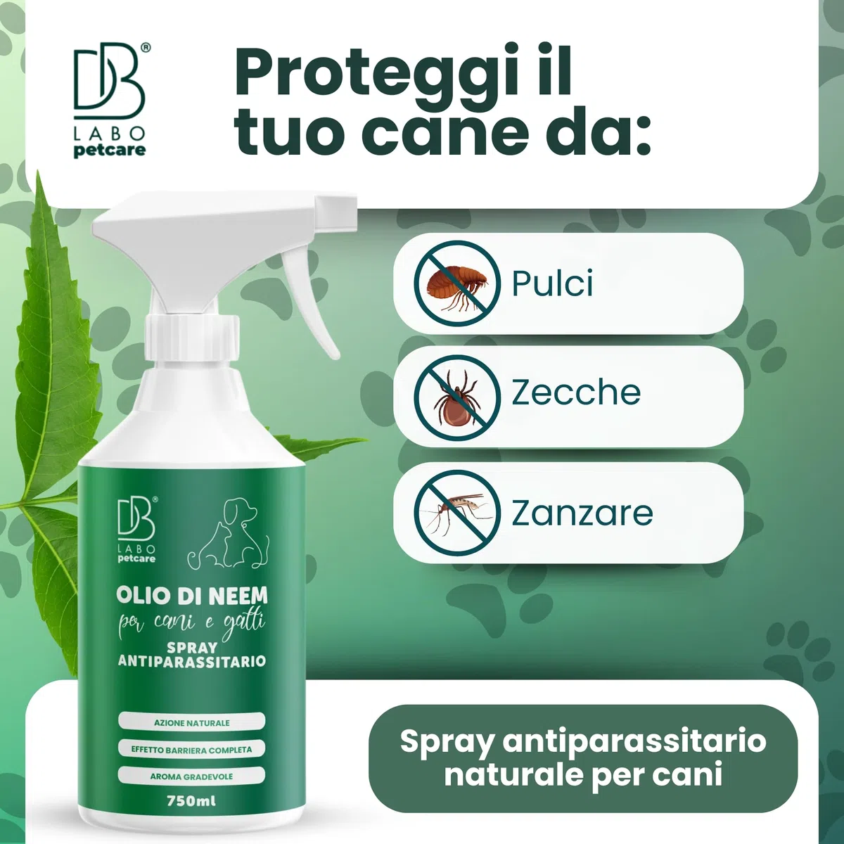 Db Labo - Olio Di Neem per Cani 750ml - Spray Olio Neem Repellente per Cani Sgradito a Zecche, Pulci, Zanzare e Insetti - Azione Naturale con Aroma Piacevole abbinabile a Repellente Antipulci
