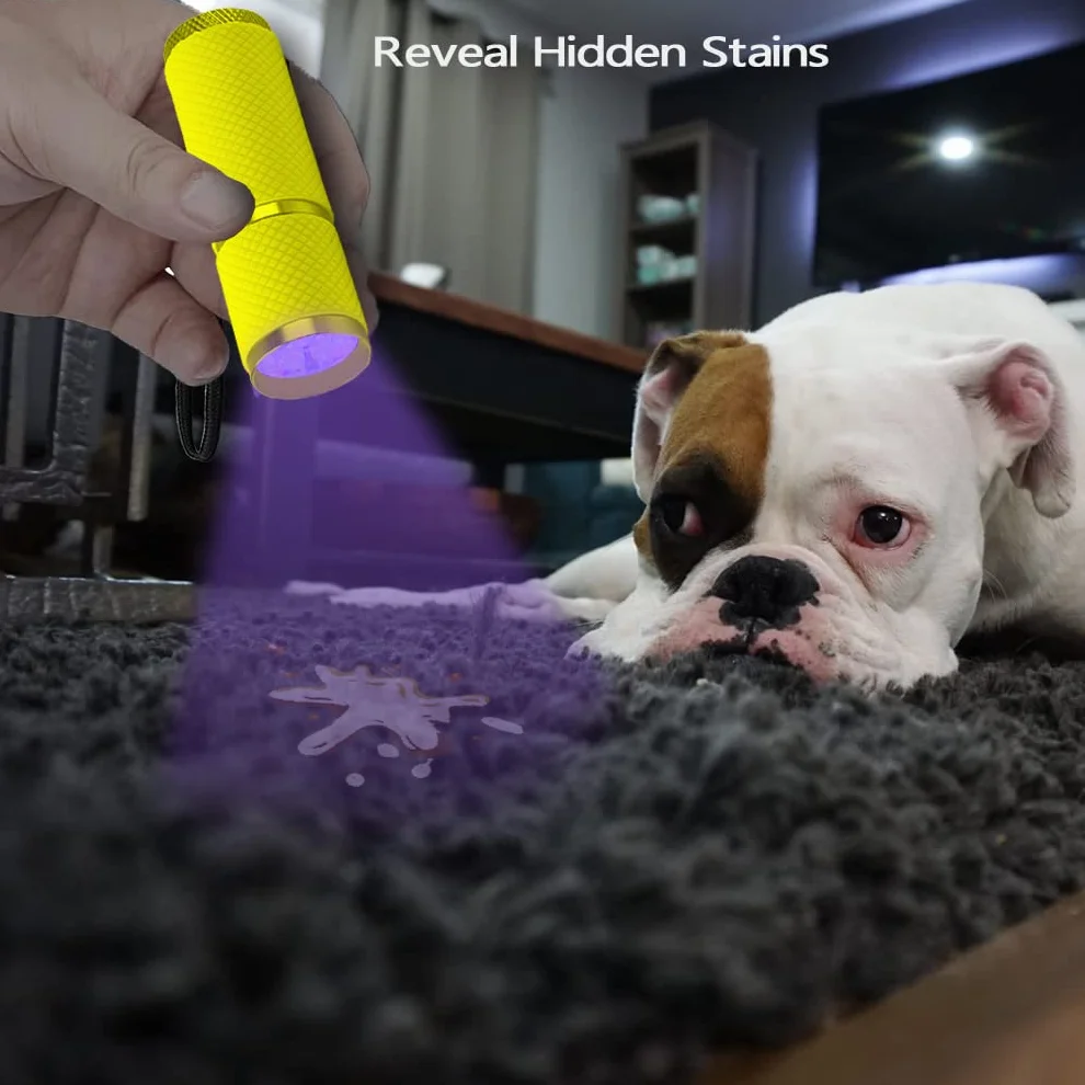 LEAGY 2 Pezzi Mini Torcia UV con 9 LED Batterie - Rilevatore di Urine per Animali Domestici Agenti Fluorescenti Macchie Secche Controllo delle Falsificazioni Banconote Cimici dei Letti ecc (Giallo)