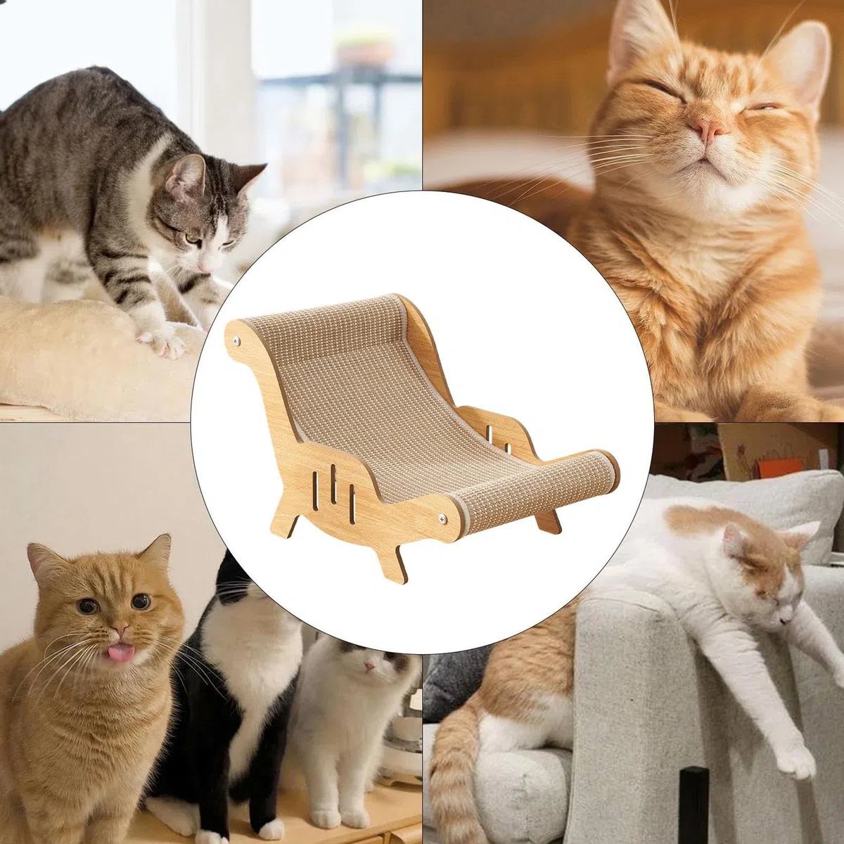 Sedia Sdraio Per Gatti In Sisal, Sedia Da Salotto Tiragraffi Per Gatti, A Dondolo Per Gatto, Divano Graffiante Per Gatto, Amaca Per In Sisal, Letto A Graffio Per Gattini