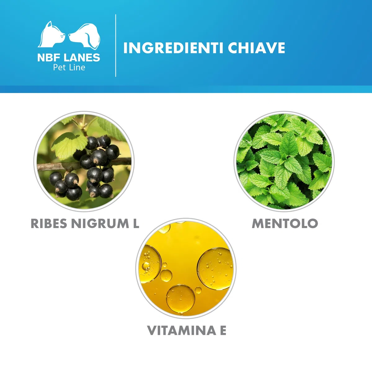 NBF Lanes | Ribes Pet Emulsione Dermatologica a Cristalli Liquidi Cane e Gatto 50 ml, Favorisce l'Idratazione Riducendo Il Rischio di Irritazione Cutanea