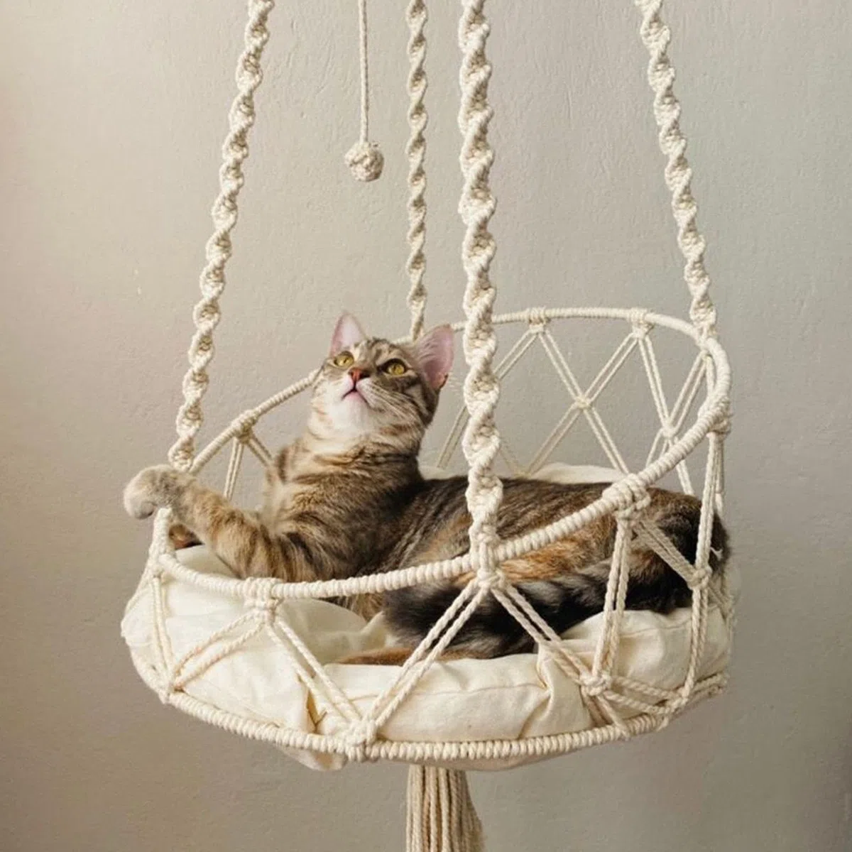 Amaca altalena per gatti, stile boho, per interni, per gatti, per giocare e arrampicarsi, con cuscino rimovibile, per patio, giardino, sala studio, balcone