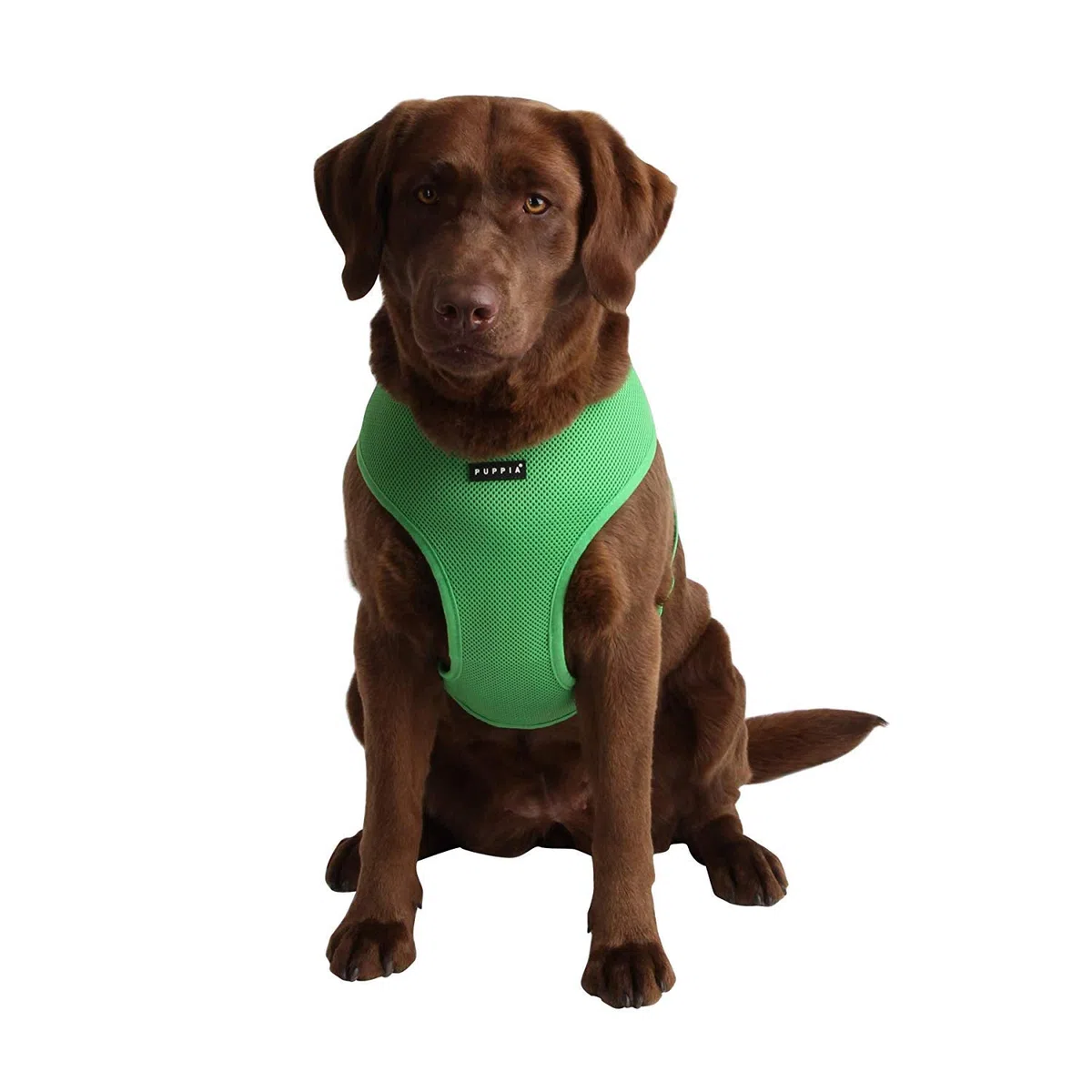 Puppia Pdcf-Ac30-Gr-S - Pettorina Morbida per Cani, Verde, S, 1 Pezzo
