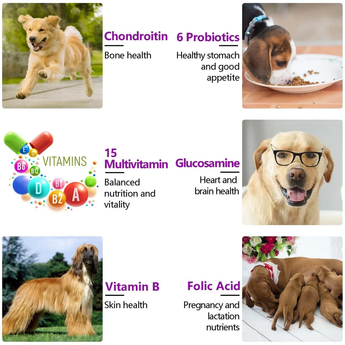 Multivitaminico 15 in 1 per cani - 150 snack masticabili con supporto per le articolazioni, salute digestiva, cuore, pelle e pelo - Vitamine per cani A, E, D3, B12 e minerali essenziali