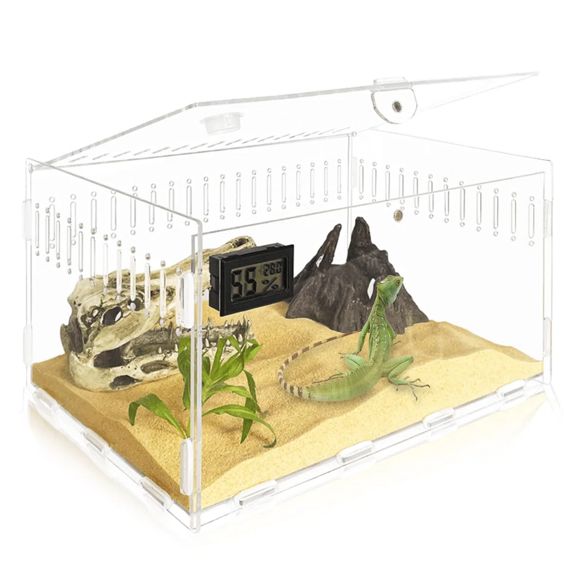 Terrario per Rettili, Scatola di Alimentazione, Terrario portatile, trasparente, in Acrilico per Spide, Lucertola, Scorpione Contenitori, 30cm x 20cm x 15cm