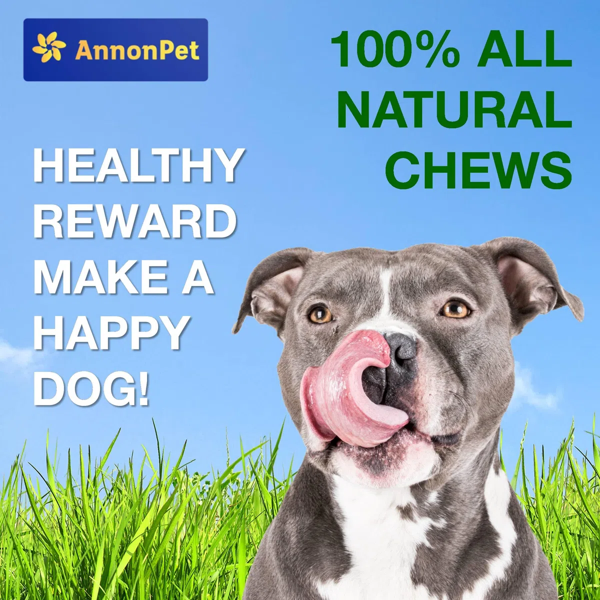 Polmone Essiccato per Cani 500g - Snack Naturale al 100%, Ricco di Proteine, Senza Additivi Ideale per Diete BARF, Premietti Bocconcini e Spuntini Sani Carne Secca di Manzo di Alta Qualità