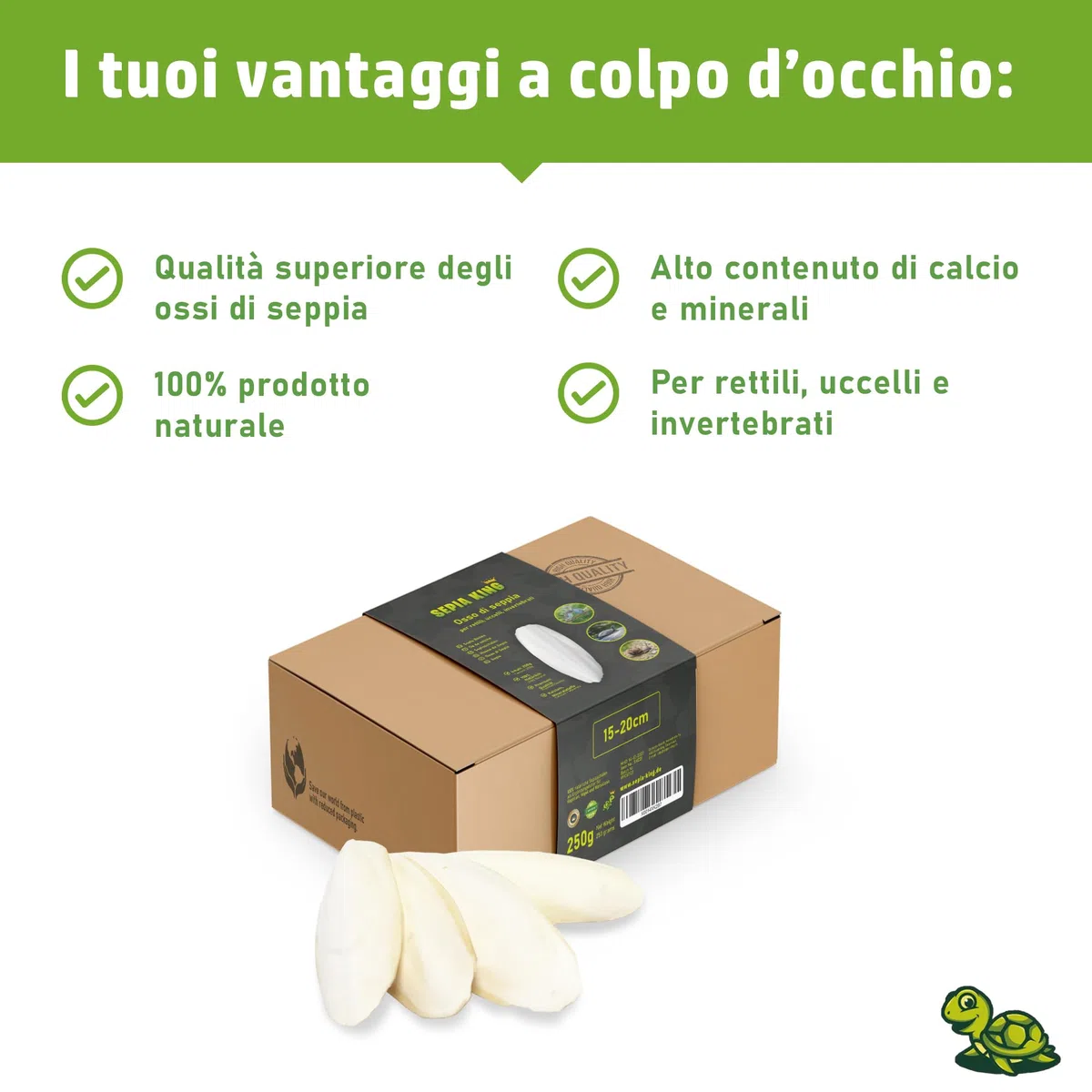 Sepia King - Ossi di Seppia grandi – Box XL 250g 15–20 cm – Calcio e minerali naturali – Osso di Seppia grande – Mangime per Rettili, Tartarughe, Drago Barbuto, Uccelli, Accessori Terrario
