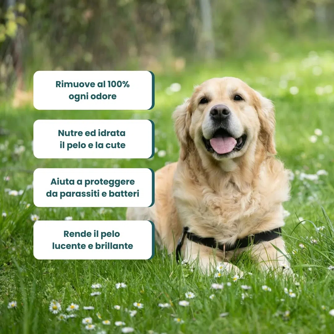 Profumo per cani lunga durata con olio di neem, timo e argan 150ml, profumo cane naturale a ph neutro sicuro anche per cuccioli, profumo cani professionale - Made in italy