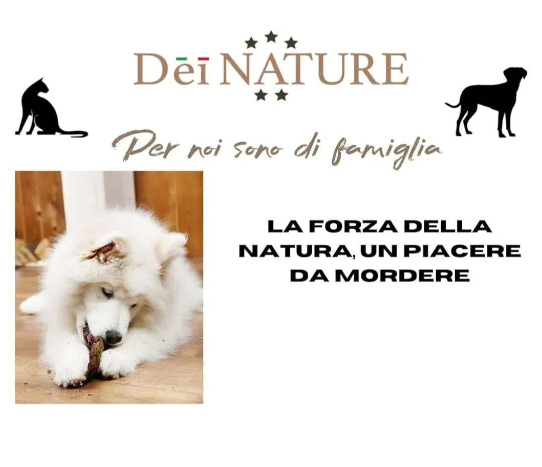 Pelle di Cavallo Essiccata per Cani, Strisce da 15 cm, Confezione da 500 Grammi, Masticativo Naturale per Pulizia Denti