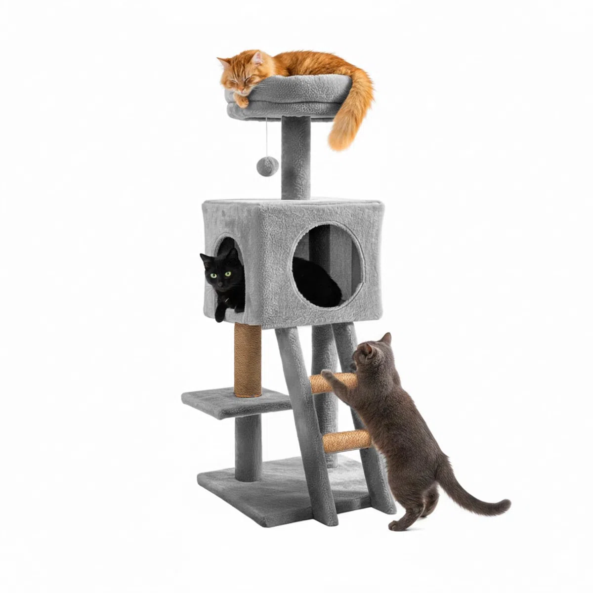 Avilia Albero Tiragraffi per Gatti 92 cm con Cuccia Chiusa e Piattaforme Multilivello – Colonna Sisal Naturale e Scala Integrata, Ideale come Trespolo per Gatti e Giochi in Casa (40x35x92 cm)