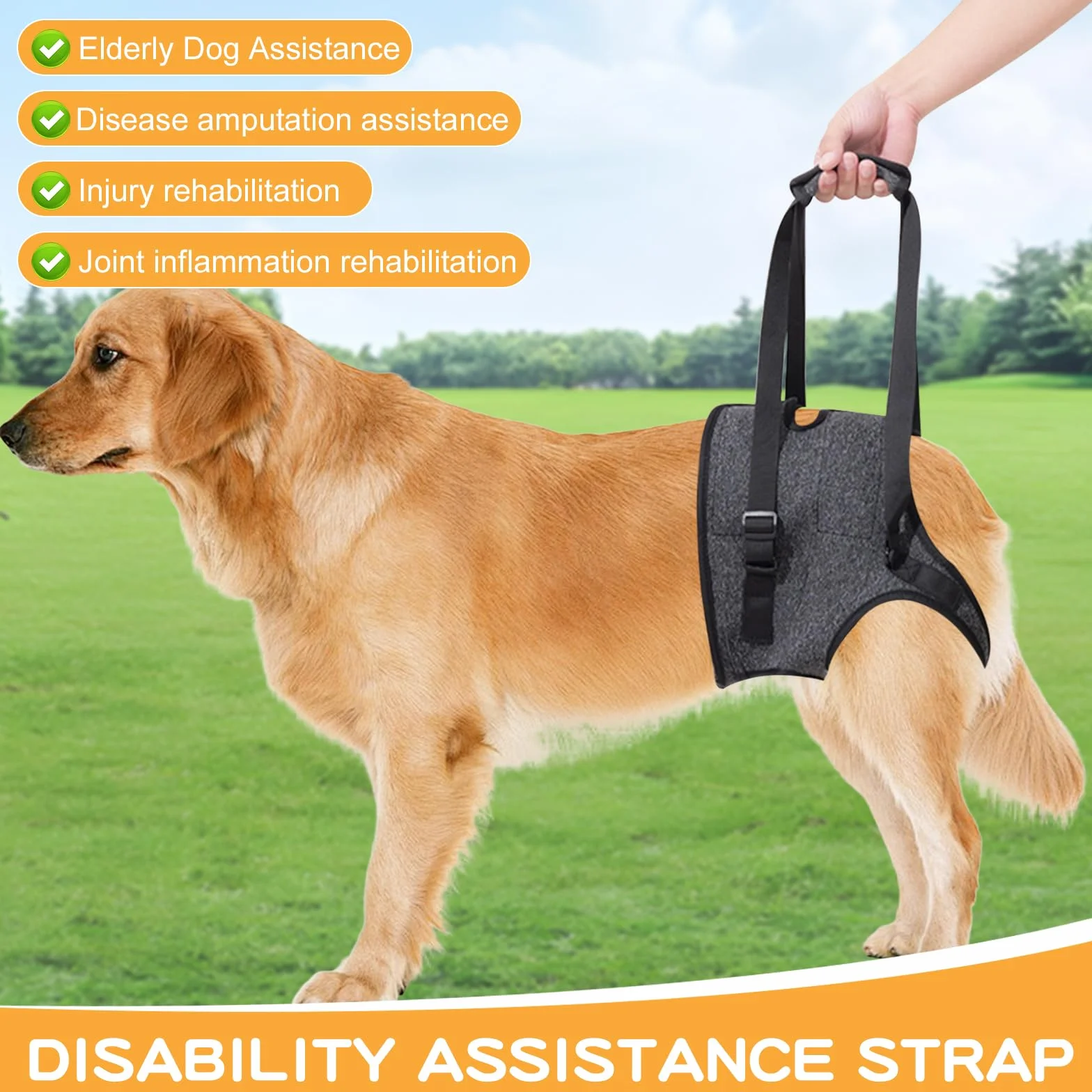 Dokeno - Imbracatura per Cani - Pettorina Cane Portatile, Zampe Posteriori, Grigio (XL)