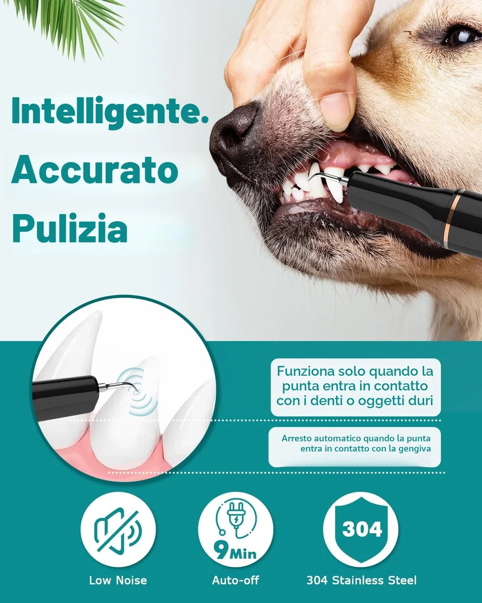 Kit Pulizia Denti Cane 14-in-1 - Spazzolino Ultrasuoni Cani con Luce LED, 5 Modalità di Spazzolino Denti Cane, USB Ricaricabile Spazzolino per Cani
