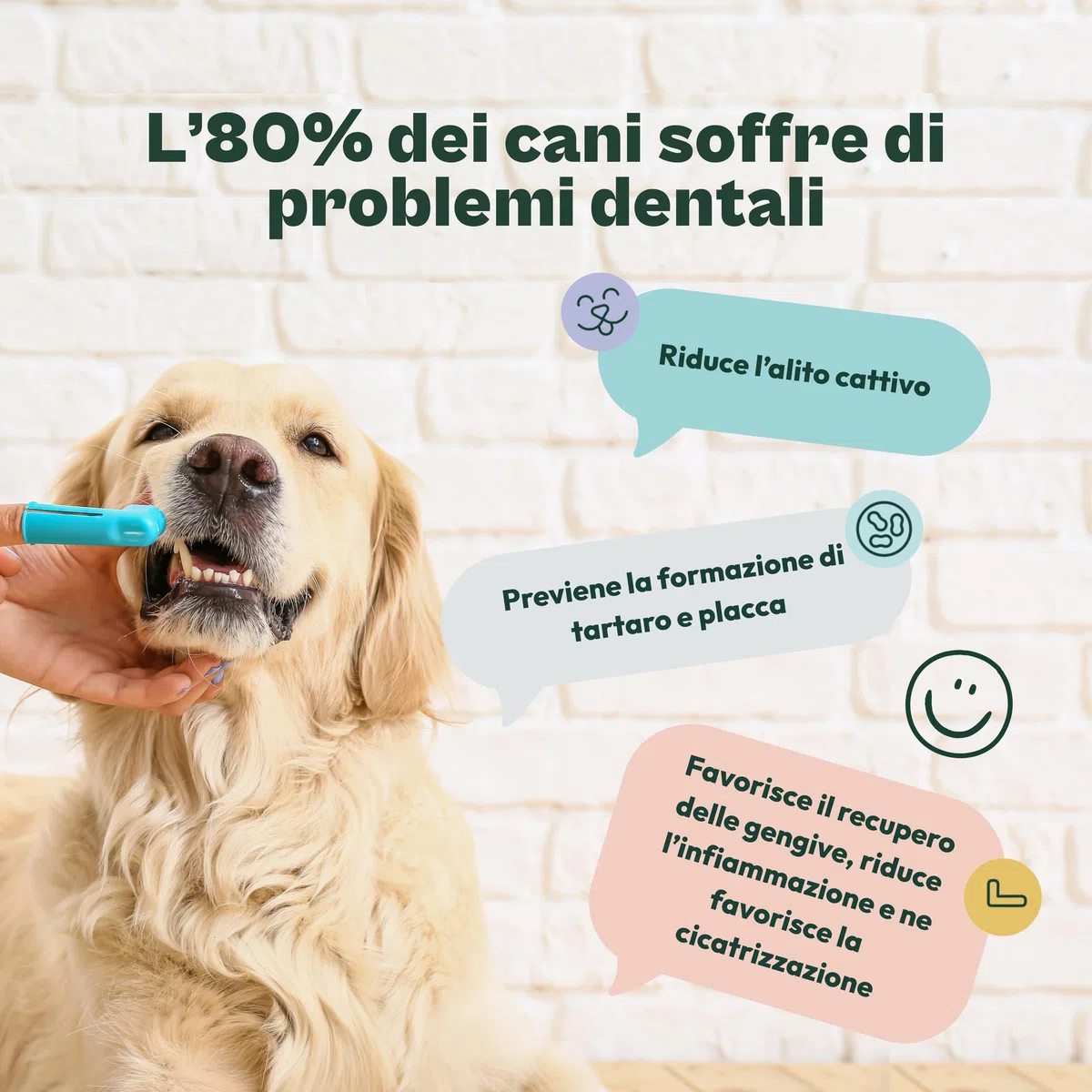 Gooddy – Cura Dentale per Cani in Polvere 180g – Alito Fresco, Riduce Placca e Tartar, Supporta le Gengive – Con Probiotici e Prebiotici