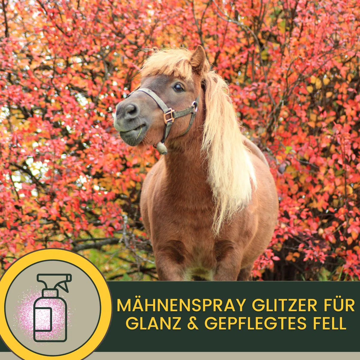 Spray per la criniera del cavallo I Spray glitterato per il manto e il pelo lungo I Grasso per zoccoli glitterato Set per la cura del cavallo 3 pezzi Spray per la coda con glitter rosa 500ml 2*250ml
