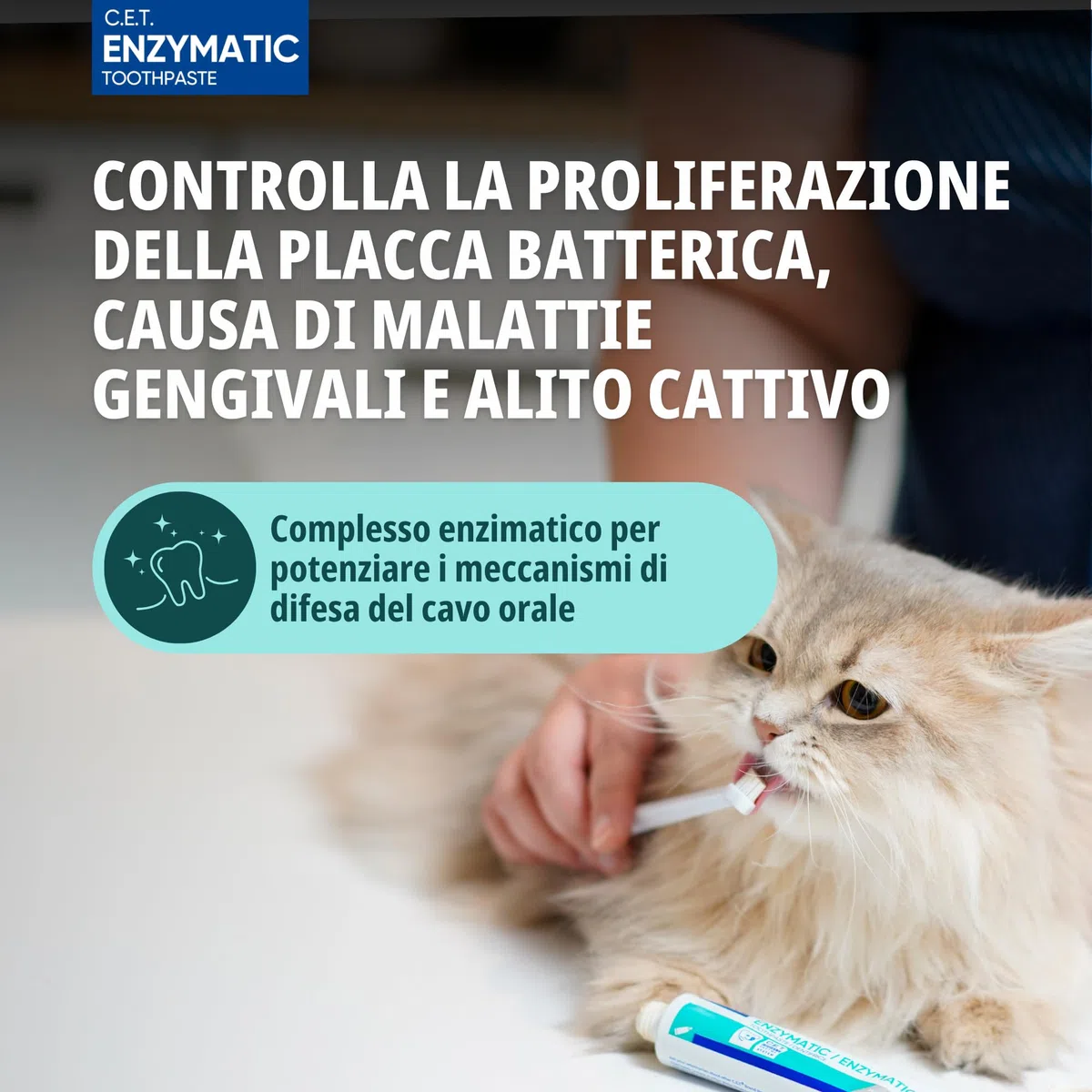 Virbac C.E.T. Kit per l'igiene Orale 1 Versione Originale