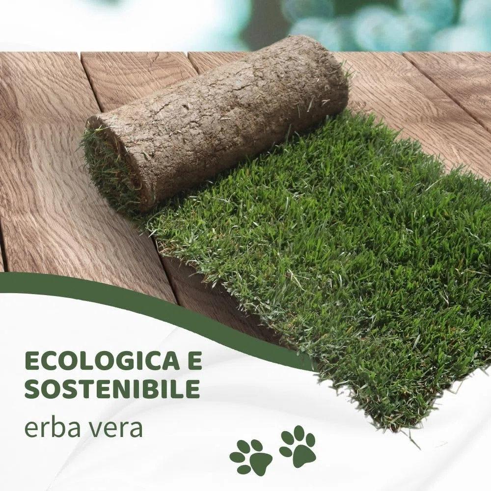Ricarica S Tartarughe 60x40cm - Terrario tartarughe di terra in vero prato naturale, Ricambio facile da sostituire per il Kit S, casetta per tartarughe da interno dura fino a 5 mesi