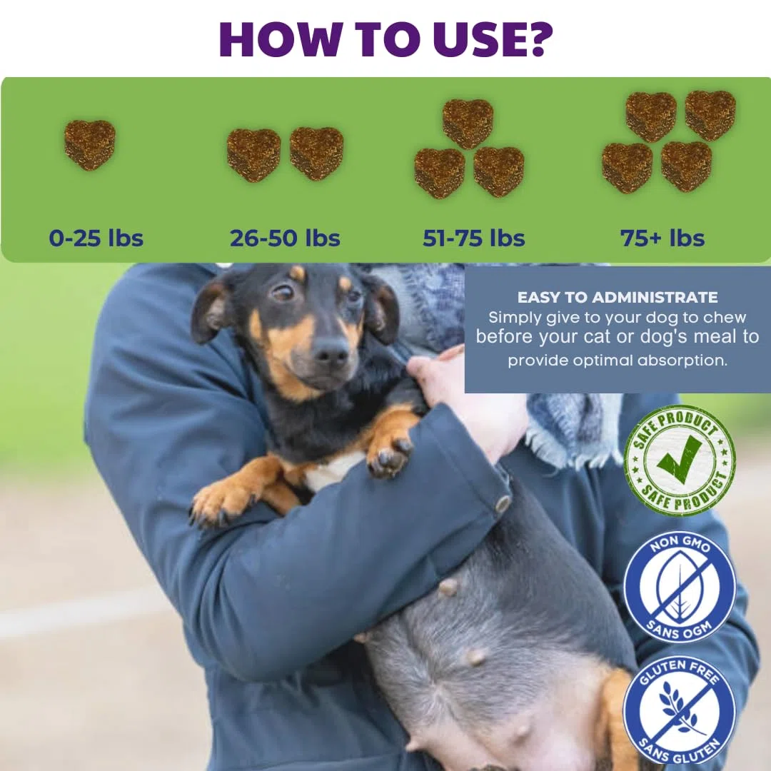 Vitamine prenatali e postnatale per cani e gatti – Integratore con acido folico, biotina, CoQ10, probiotici, glucosamina e vitamine essenziali – Supporta gravidanza, allattamento e recupero – 90 ct