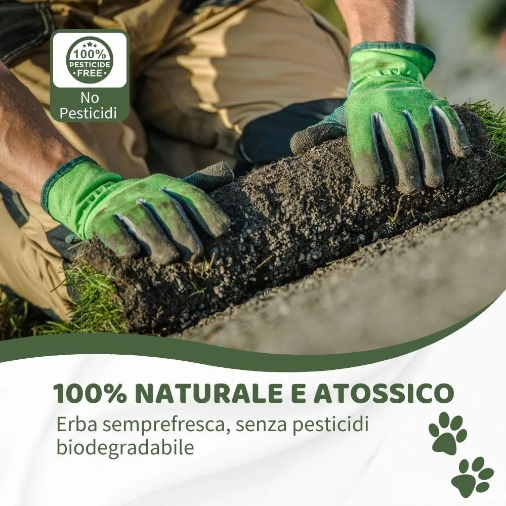 Ricarica S Tartarughe 60x40cm - Terrario tartarughe di terra in vero prato naturale, Ricambio facile da sostituire per il Kit S, casetta per tartarughe da interno dura fino a 5 mesi