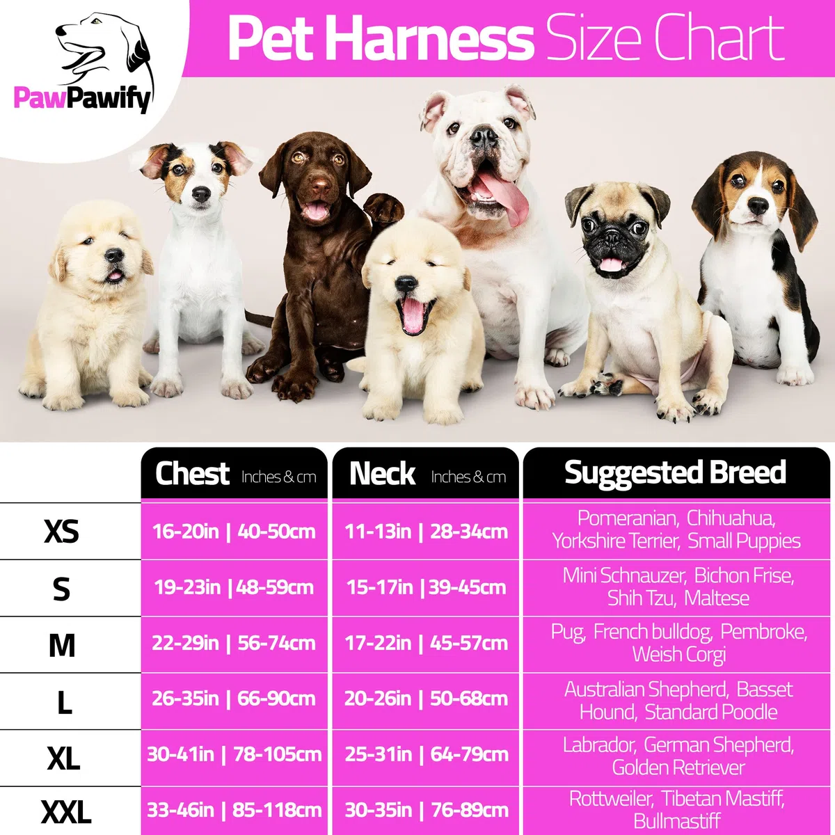 pettorina per cani con nome personalizzato e numero di telefono per animali domestici resistente per prevenire tiraggi, tirare, soffocare, allenare e camminare