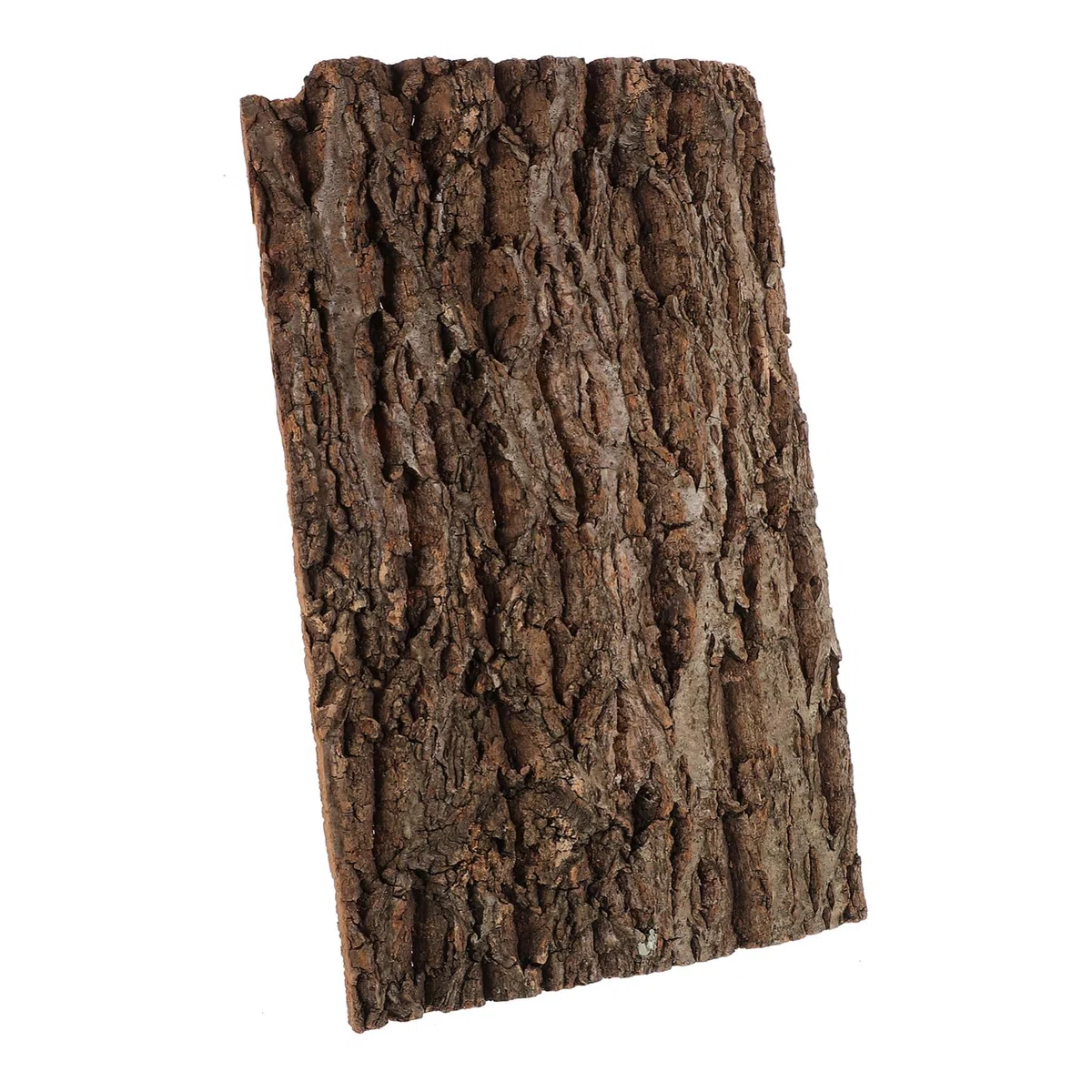 Supvox Rettili Corteccia di Corteccia di Sughero Sfondo 11.81X7.87X0.59In Terrario Decorazione Rettili Fornitura Naturale Corteccia di Albero Piastra per Tartarughe E Arrampicata