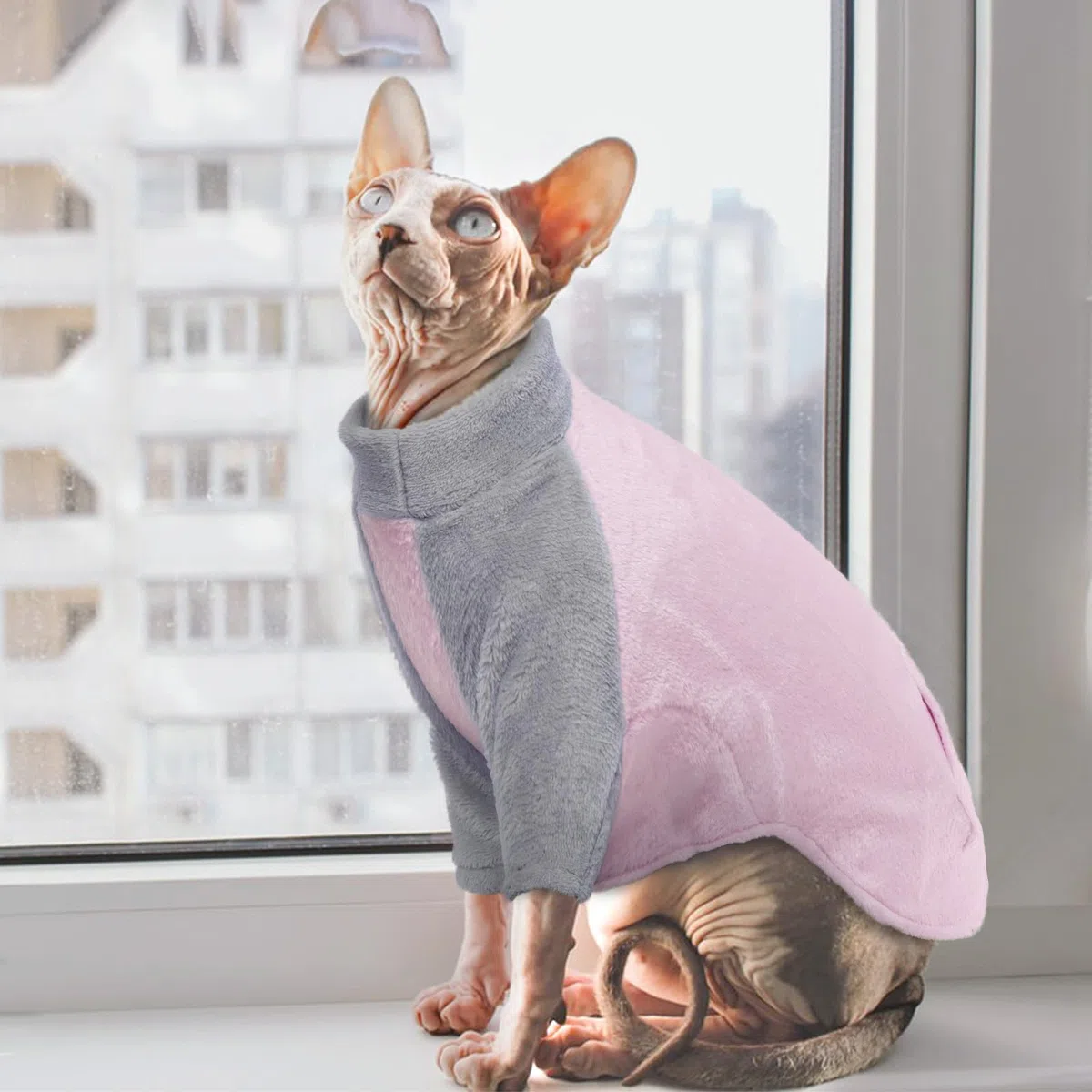 Maglione a collo alto, giacca in pile, gilet per gatti, caldo, abbigliamento per gatti senza peli, pullover, giacca di flanella, rosa, L