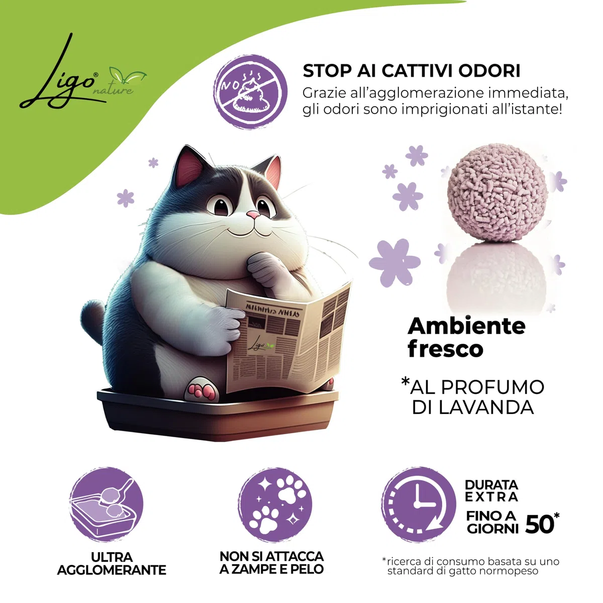 Ligo Nature Lettiera gatto TOFU |SUPER AGGLOMERANTE neutra|ecologica|ultra assorbente|assorbimento rapido|controllo degli odori| 1confezioni da 4,5kg (10 l, lavanda)