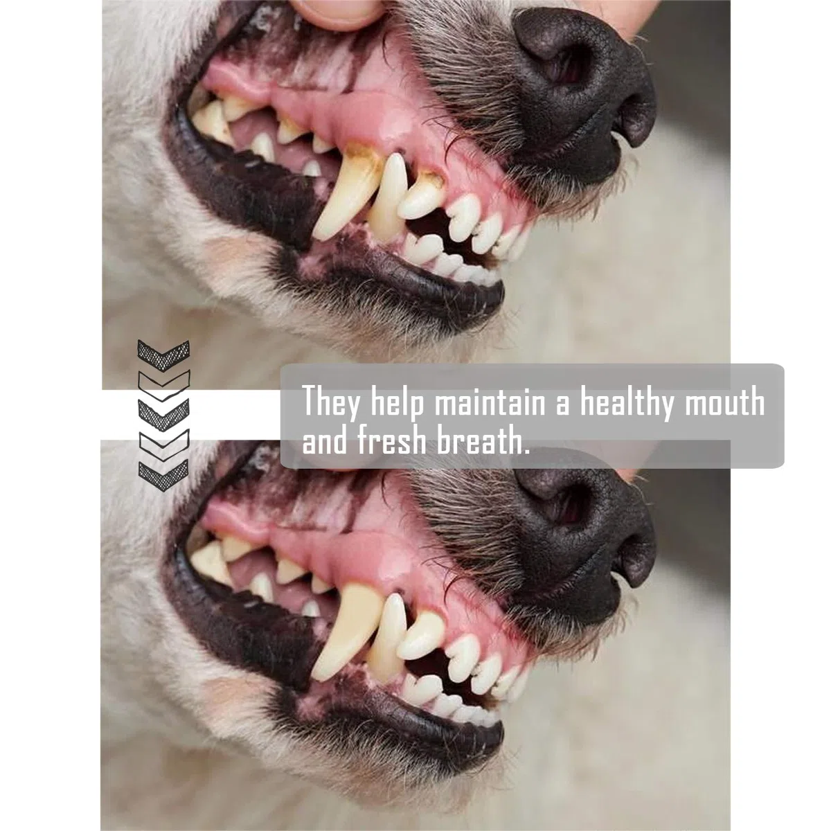 12 Pezzi Osso Pressato per Cani Pelle Bovina Rinforzante per Denti Bastone Dentale snack per Cani 14 cm (12 pezzi) BPS-5000 * 12