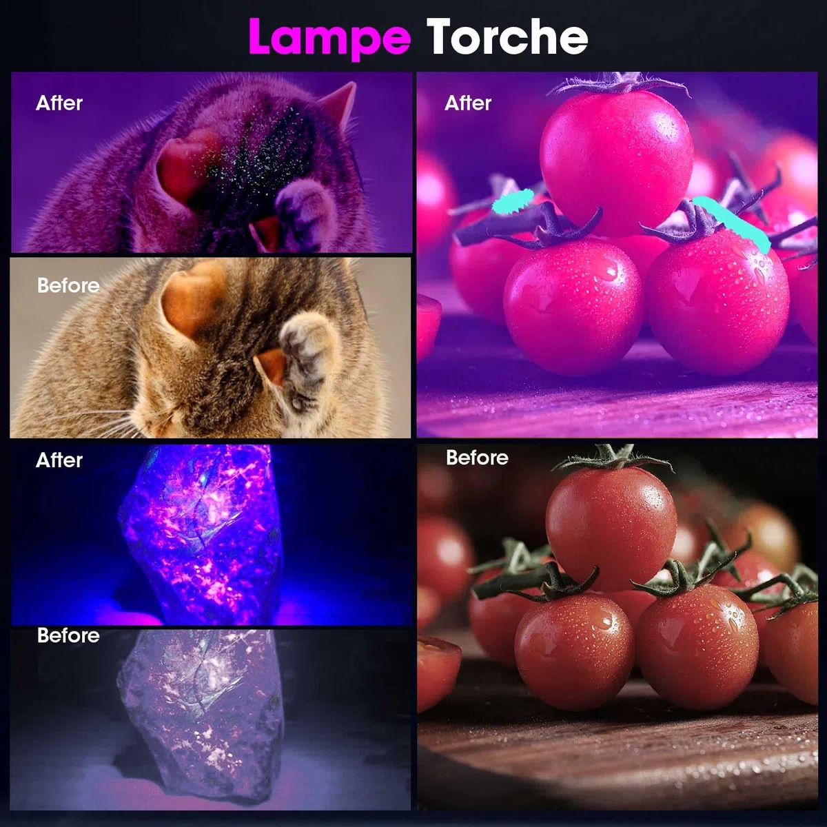 Torcia UV 20W 365NM Luce Nera Torcia con USB Ricaricabile Luce UV 7000mAh Lampada per Animali Domestici Rilevamento Urine Ricerca Ambra Scorpione Resina Vetro Urango