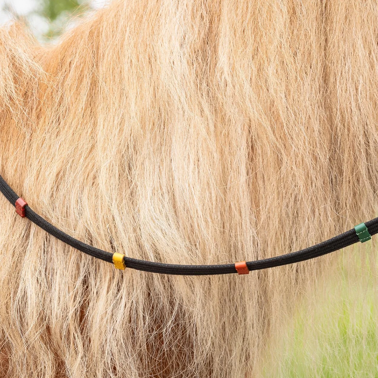 QHP Redini per Cavallo fermate Colorate