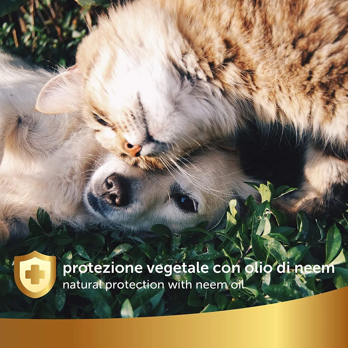Bundle Protezione Vegetale Spray Olio di Neem Zanzare, Zecche e Pulci + Spray Sciogli Nodi, Districante e Lucidante Pelo Naturale – Per Cane e Gatto - Con Ingredienti e Oli Vegetali – 2x250ml