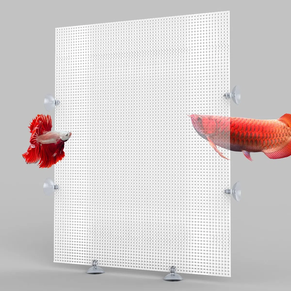 Cuyacili 2 Pezzi Divisori per Acquario Griglia Divisore di Plastica Trasparente con Ventose e Accessori Bianco 33x44 cm