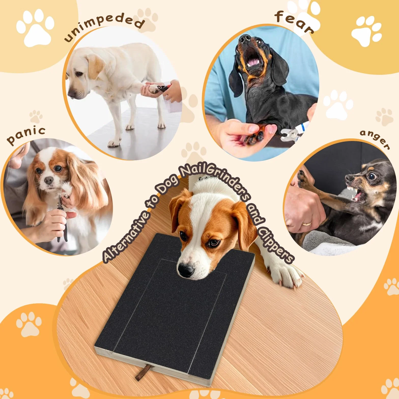 Levigatrice per Artigli per Cani Con Scatola per Snack e Contenitore, Piastra per Tiragraffi per Unghie Senza Stress, Tavola di Carta Vetrata, Scratch Board