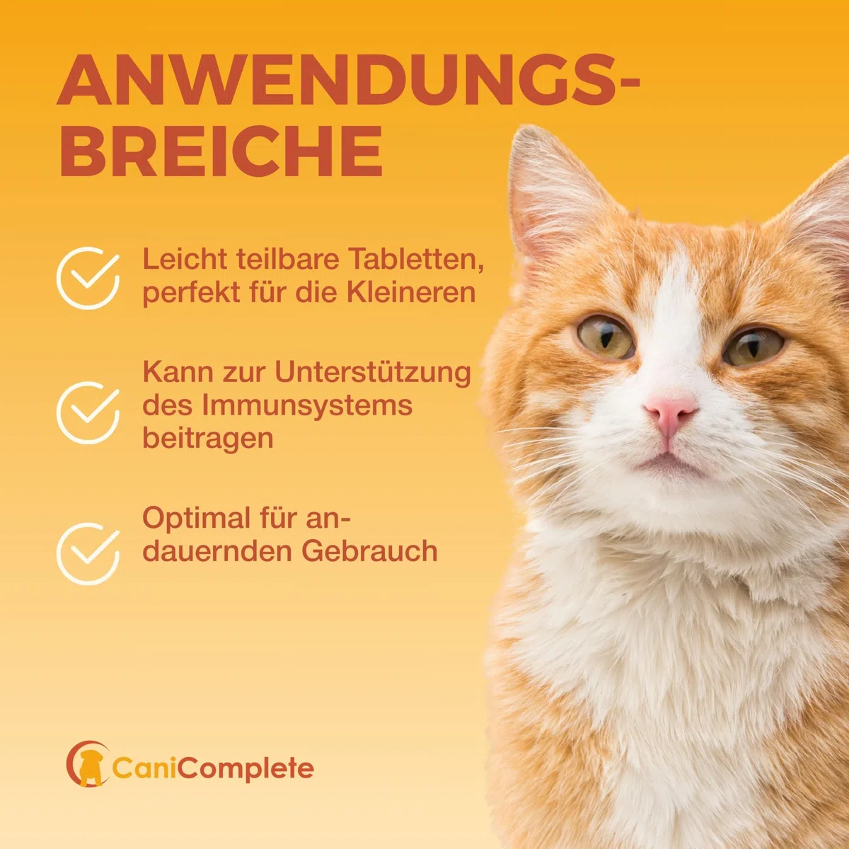 Complesso vitaminico B per cani, gatti, B1, B2, B3, B5, B6, B9, B12, K3, calcio, acido folico. Supporta funzioni nervose importanti. 120 pezzi (confezione 4 mesi)