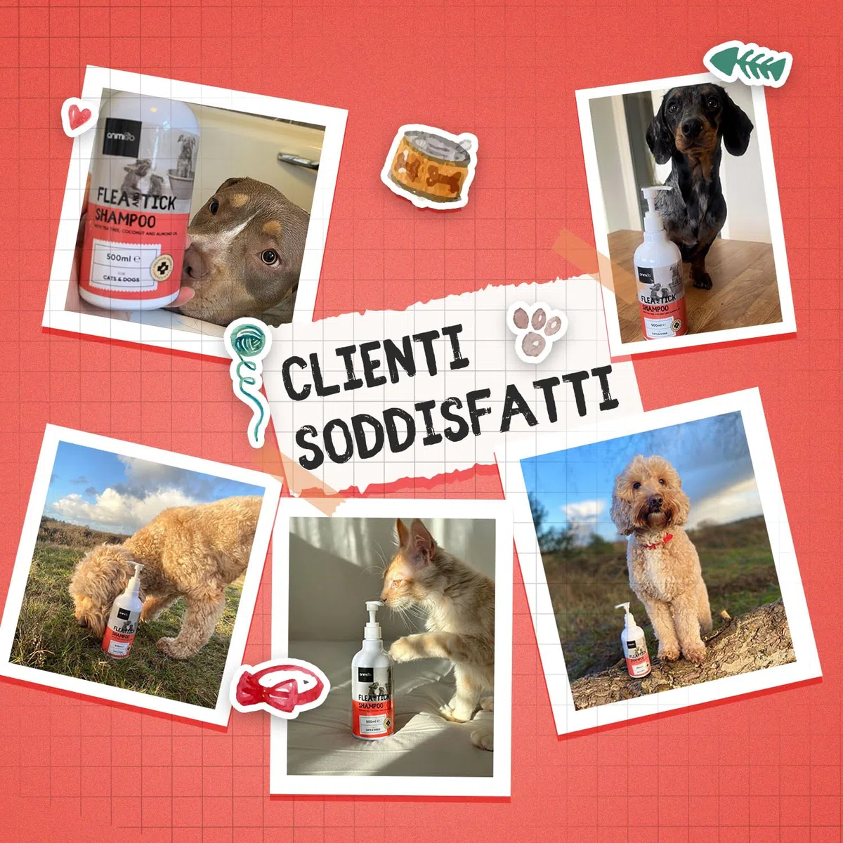 Shampoo Antiparassitario per Gatti e Cani 500ml, Antiparassitario Cani e Gatti pH Equilibrato, Shampoo Ricco di Ingredienti Naturali, Antipulci Gatto