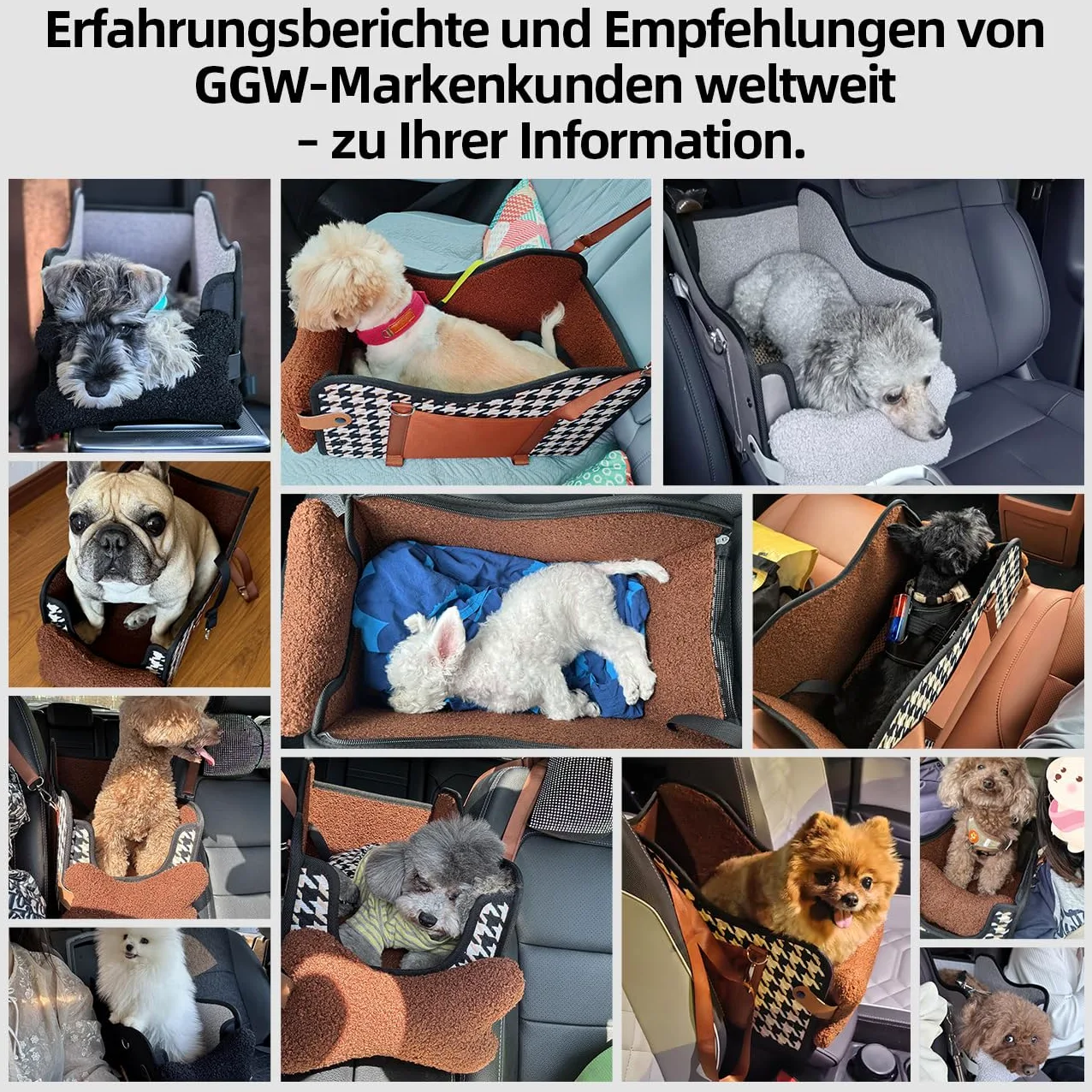 GGW Seggiolino Auto per Bracciolo – Compatibile con il 99% delle Auto, per Cane e Gatto di Piccola Taglia, Impermeabile e Sicuro.