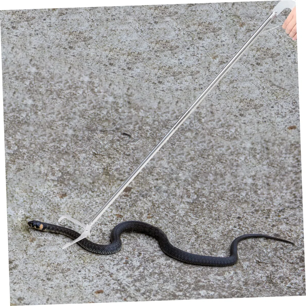 ABOOFAN Pinza Pieghevole Acciaio Inossidabile Resistente per Serpenti in Funzione Compatta Giardino e Lavoro in Montagna